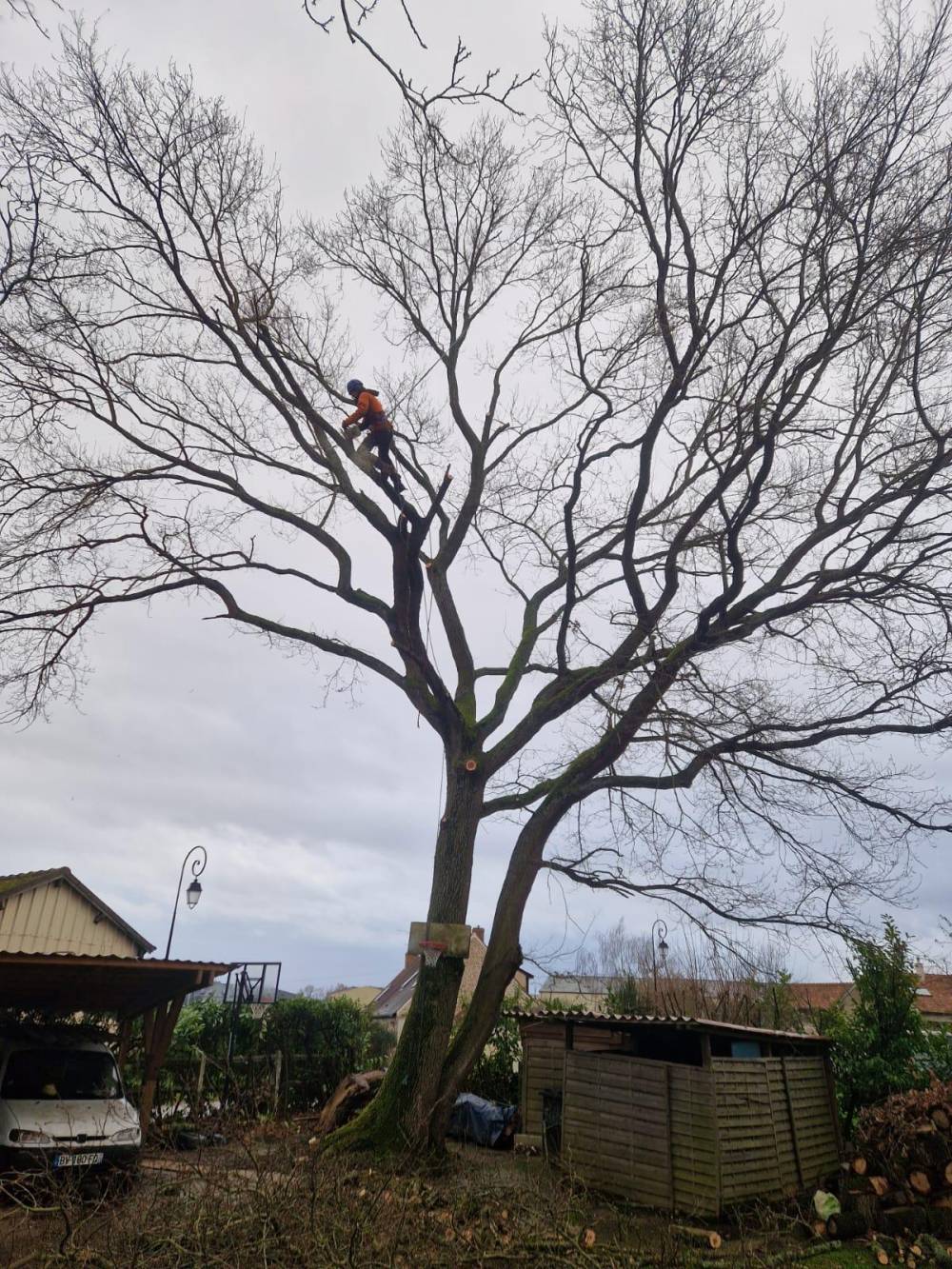 Dauvilliers Michel - PAYSAGISTE (1)