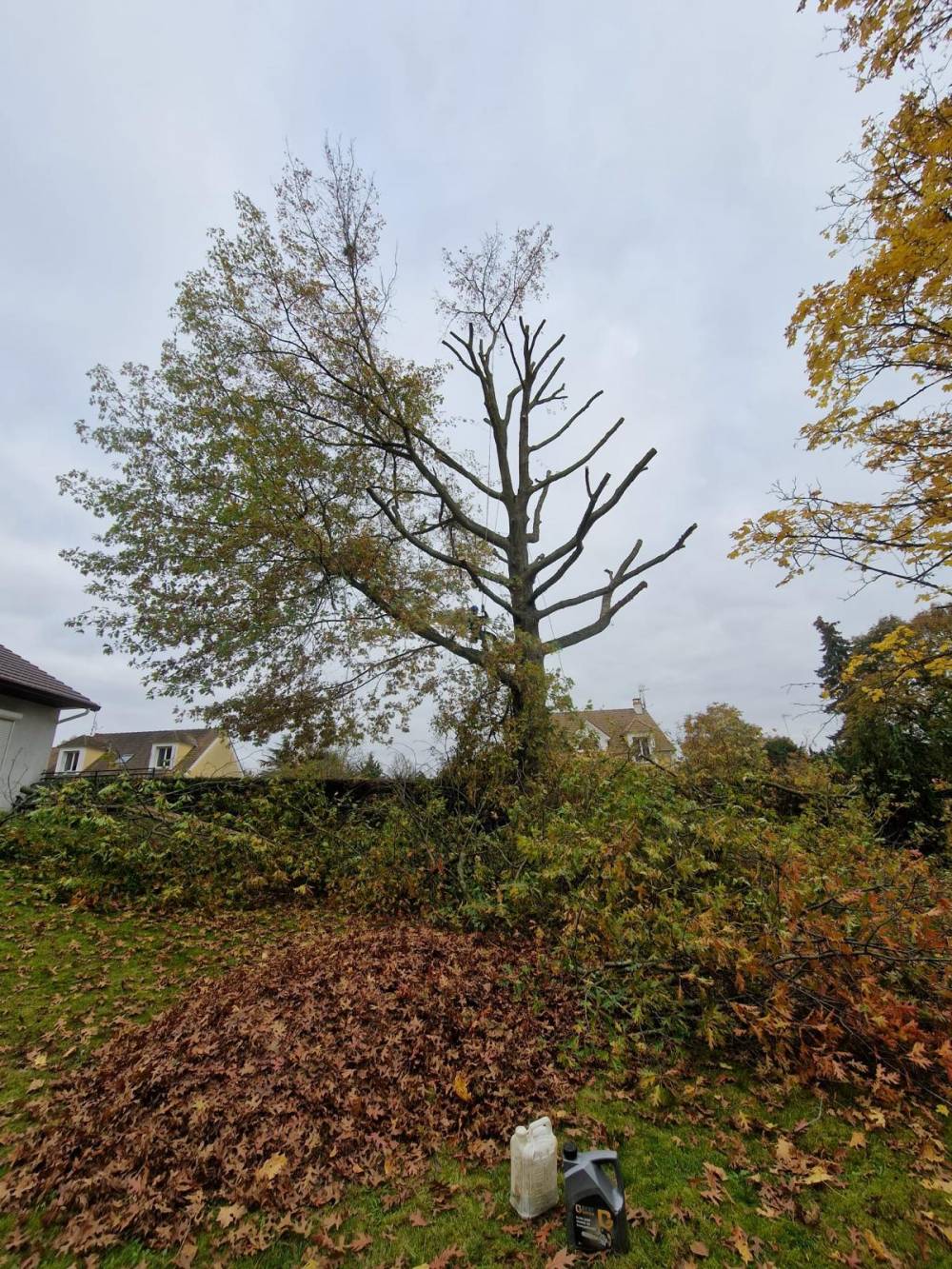 Dauvilliers Michel - PAYSAGISTE (2)