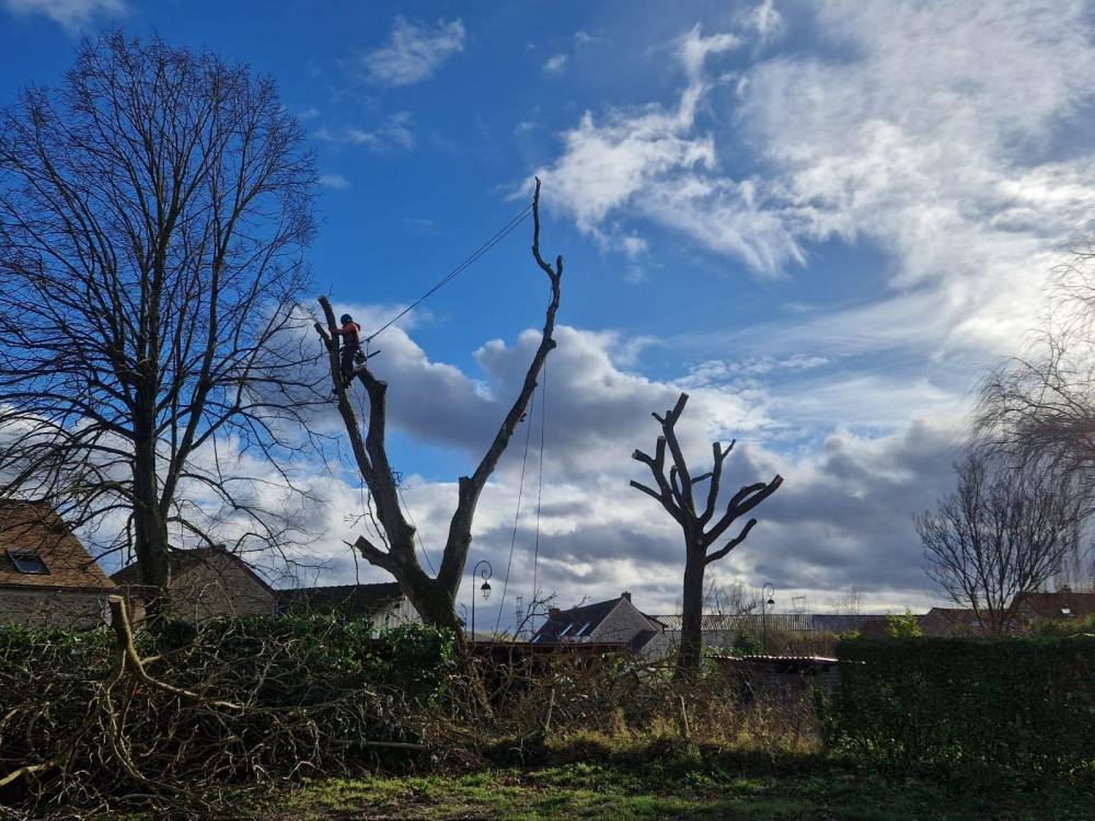 Dauvilliers Michel - PAYSAGISTE (3)