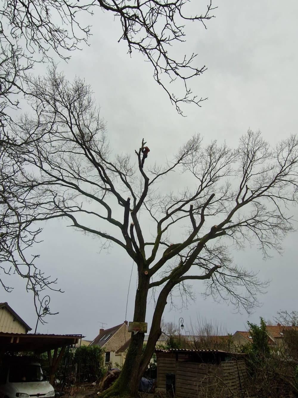 Dauvilliers Michel - PAYSAGISTE (5)